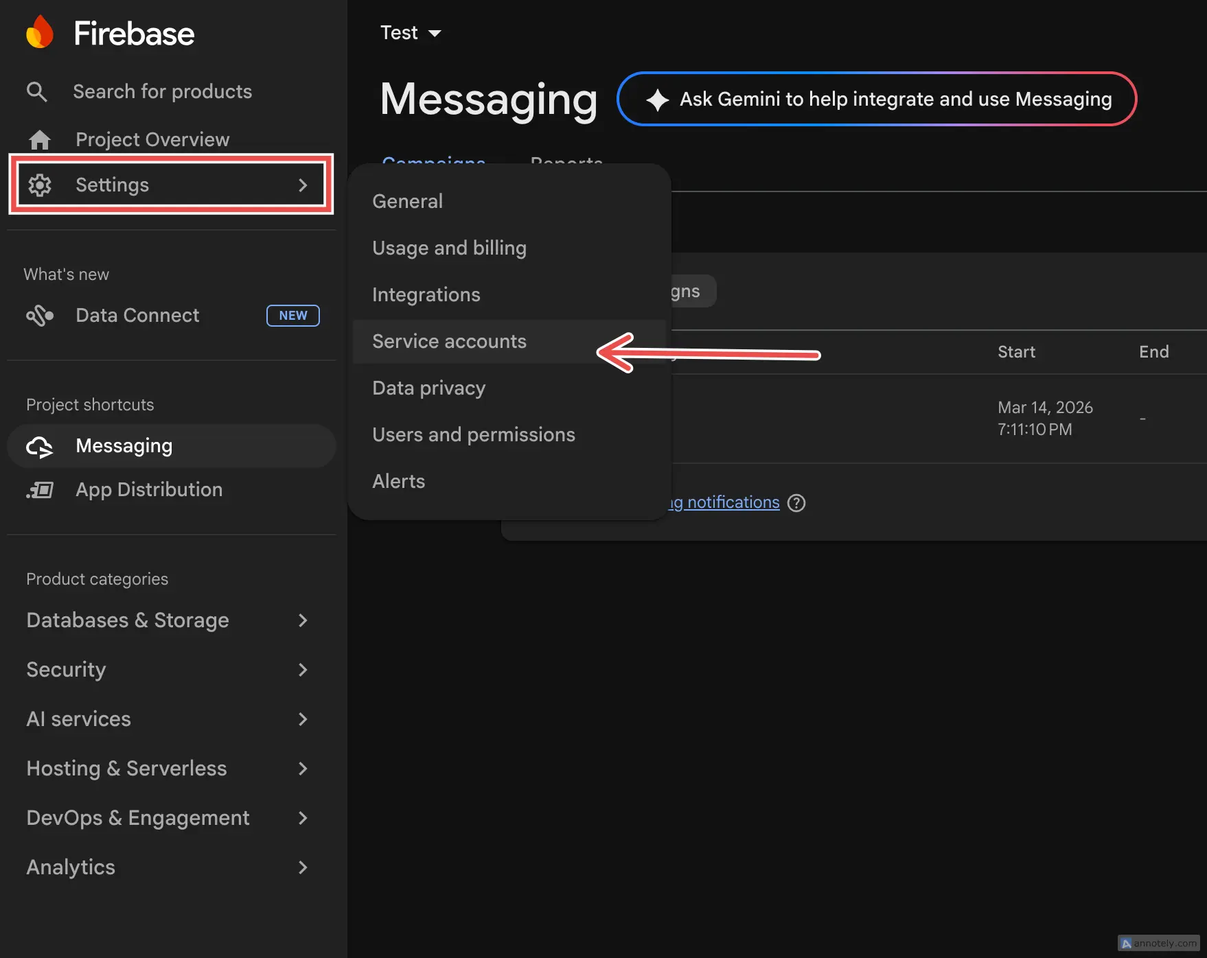 Firebase Console sidebar showing Settings menu with Service accounts option highlighted