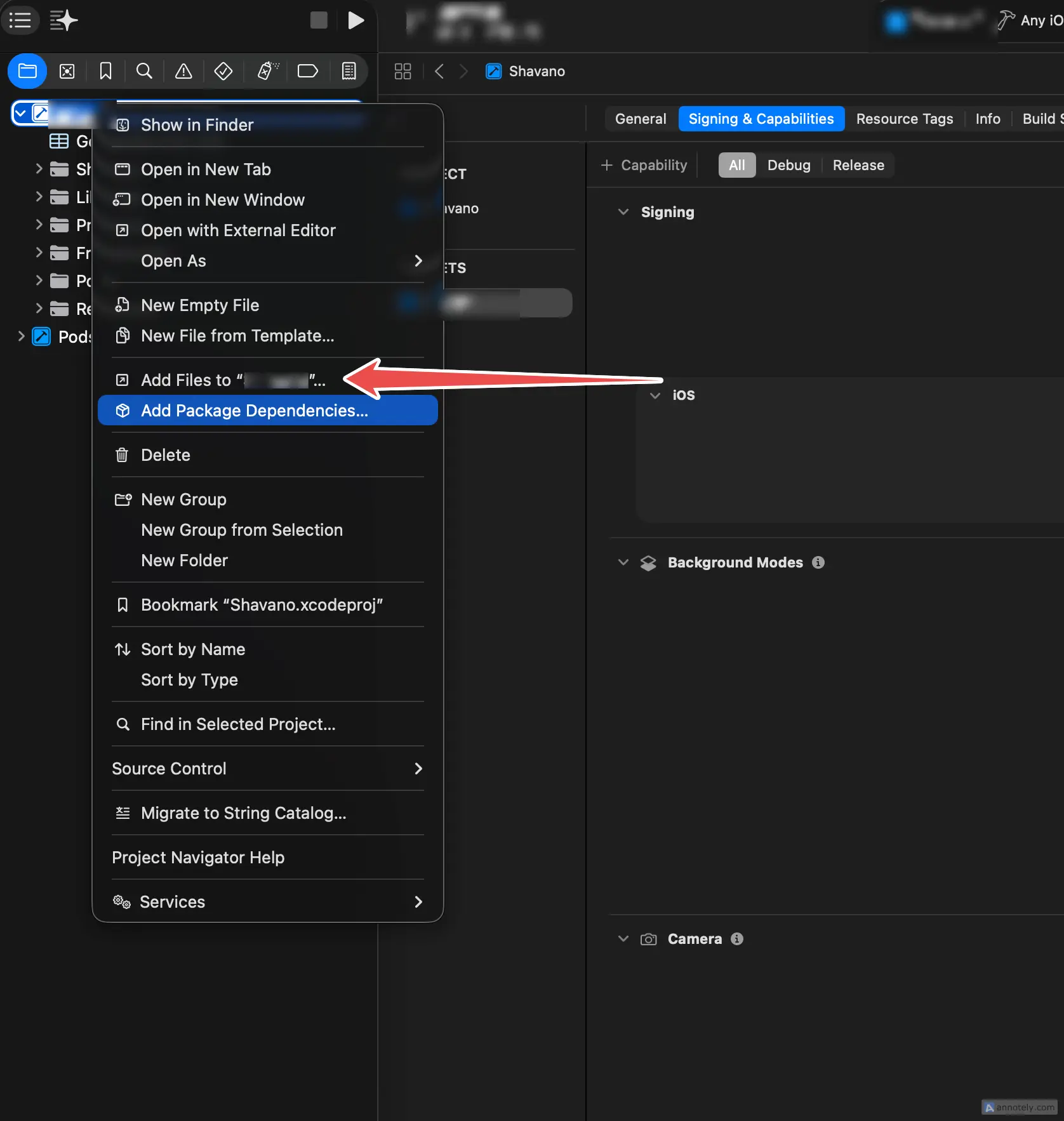 Xcode project navigator showing GoogleService-Info.plist added to the main app folder